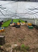 他谦善地说：“只要走绿