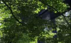 佘山国度丛林公园